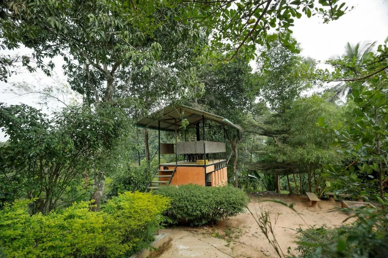 Проживание в семье Vythiri Hill Palace