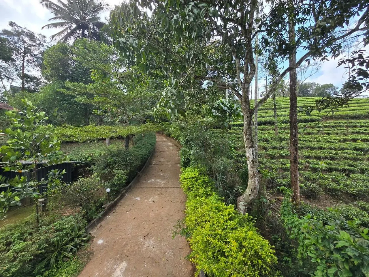 Vythiri Hill Palace 0*,